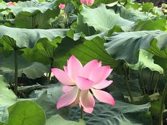 -千龙湖生态旅游度假区