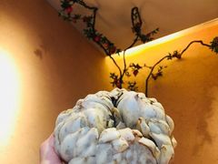 龙牙百合-农耕记·湖南土菜(halo广场店)