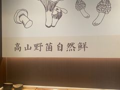 -七采菌园·野生菌石锅鱼(环城北路店)