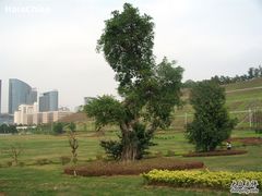 -南宁国际会展中心