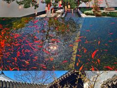 -东山雕花楼