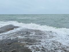 -渡海小渔村.老辈日照菜