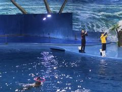 -多彩贵州城极地海洋世界