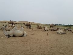 -亿利库布其七星湖沙漠生态旅游区