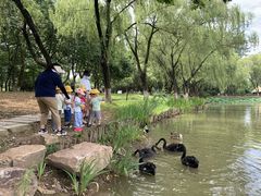 -惠洛克国际儿童之家(绿博园中心)