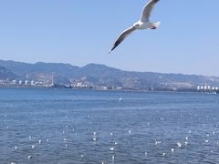 -海埂大坝