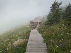 -白草畔自然风景区