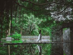 -燕晗山郊野公园