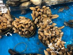-盒马鲜生(皇庭广场店)
