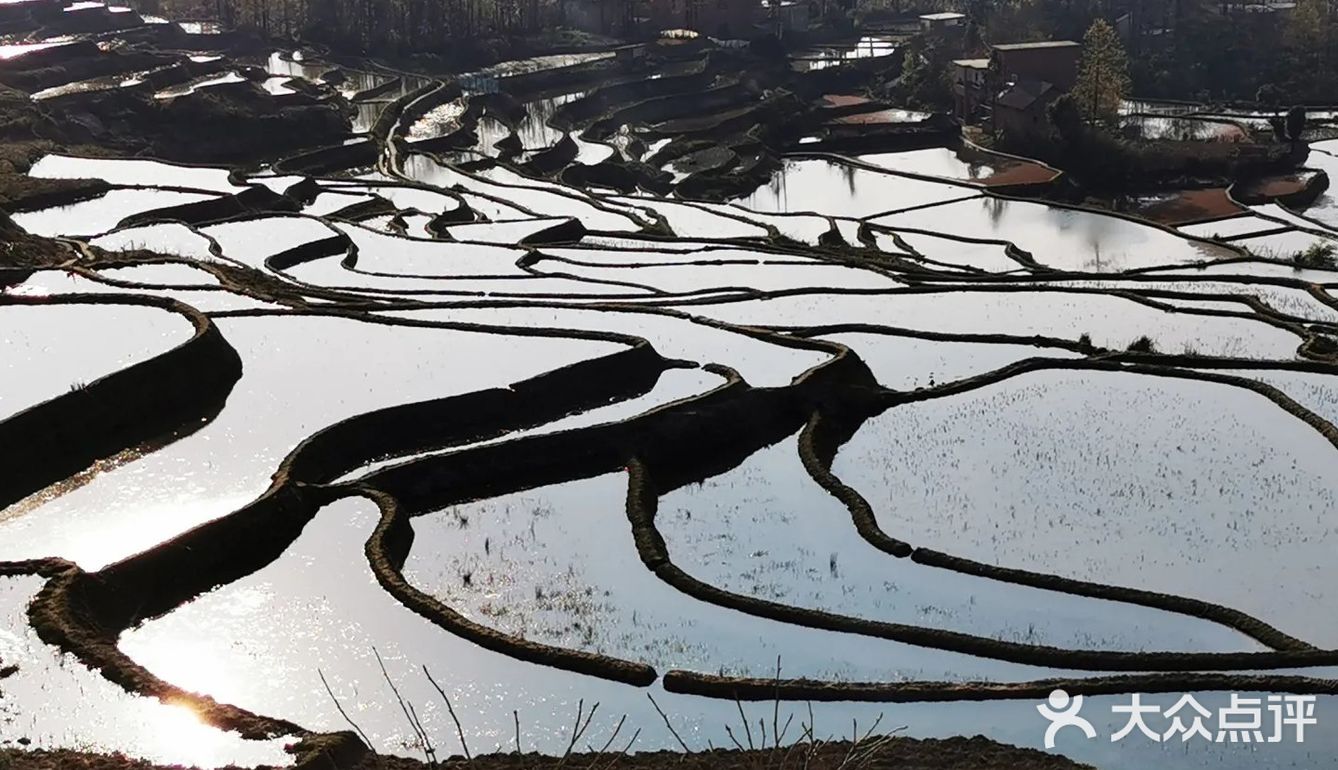 元阳梯田美如画