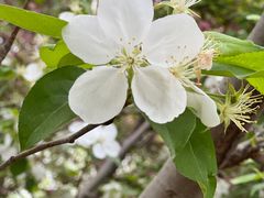 -元大都城垣遗址公园