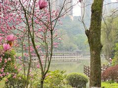 -龙头寺公园