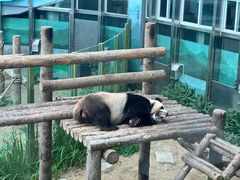 -大连森林动物园