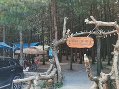 -重庆睡佛山森林公园
