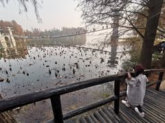 -东湖落雁景区