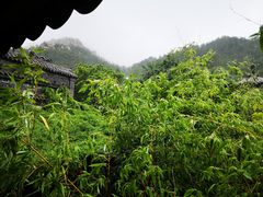 -老张烤羊(王哥庄店)