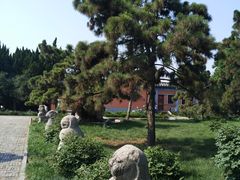 -洛阳古墓博物馆