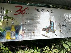 -晓雯人家