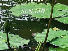 -坂田手造文化街