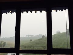-帐篷客·溪龙茶谷度假酒店