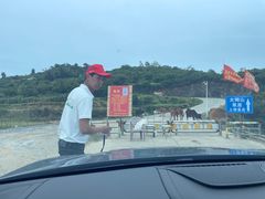 -大姆山草场