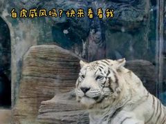 -动物园(地铁站)