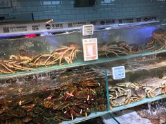 -超级物种(省府店)