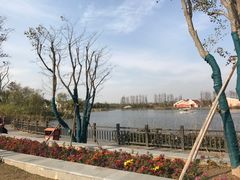 -上海长兴岛郊野公园