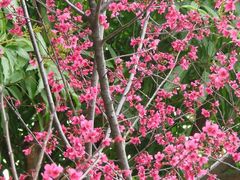 -广东外语外贸大学(白云山校区)