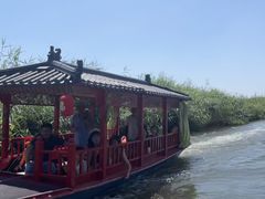 -白洋淀景区