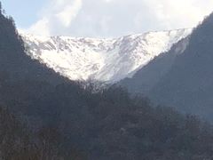 -青峰峡国家森林公园