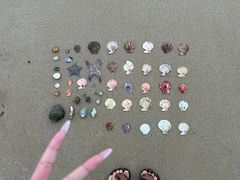 -沿江海南菜·文昌鸡祖师爷(大东海店)