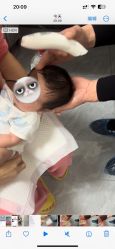 -慧婴轩婴儿理胎发胎毛笔胎毛画手足印(通州店)