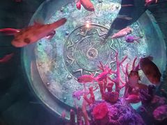 -沈阳海洋探索中心