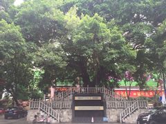 -水围村