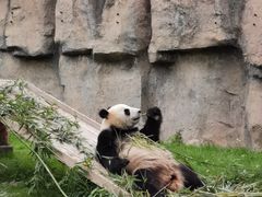 -上海野生动物园