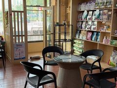 -千城康桥宠物医院·猫科·骨科·心脏