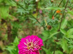 -沕沕水生态风景区