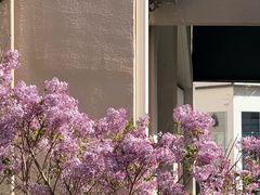 -斯普瑞斯奥特莱斯