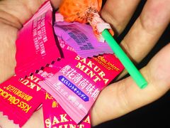 糖果-新一番三文鱼寿司(红城湖店)