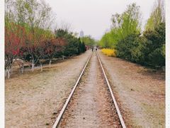 -永定河休闲森林公园