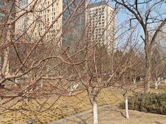 -元大都城垣遗址公园