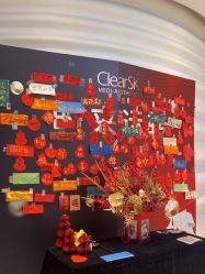 -洁铭新加坡医美