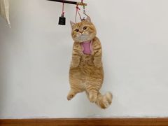 -网易（杭州）网络有限公司