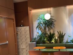 -奈雪的茶(石家庄万象城店)