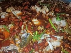 -云鱿记鱿鱼鸡·野生菌火锅(人民南路店)