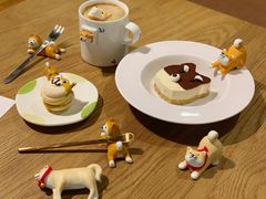 -柴务处·柴犬主题狗咖