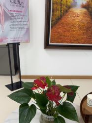 -薇兰专业脱毛连锁机构