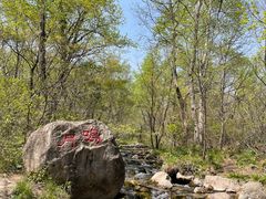 -玉渡山自然风景区