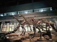 -自贡恐龙博物馆